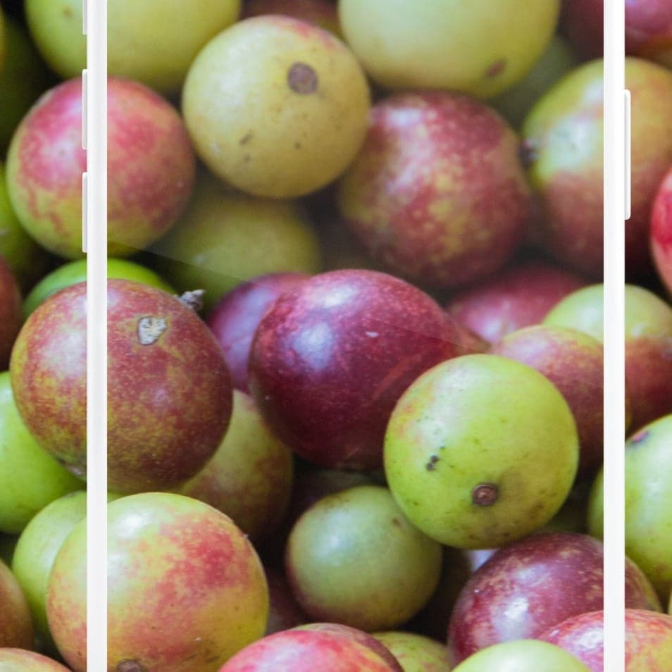 Camu camu 1 kilo