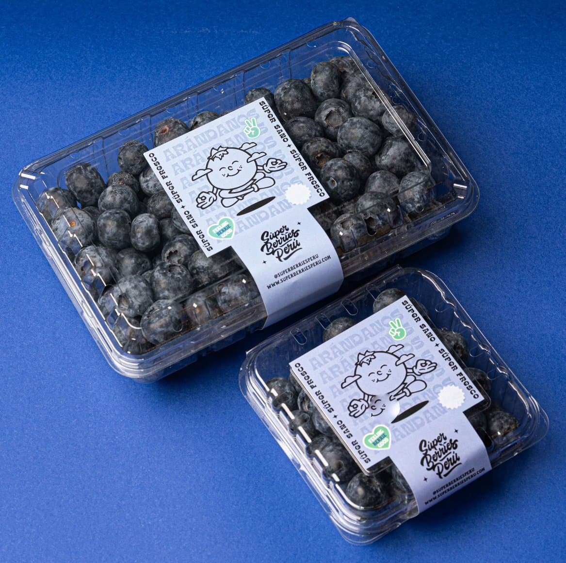 Arandano Fresco 2 kg