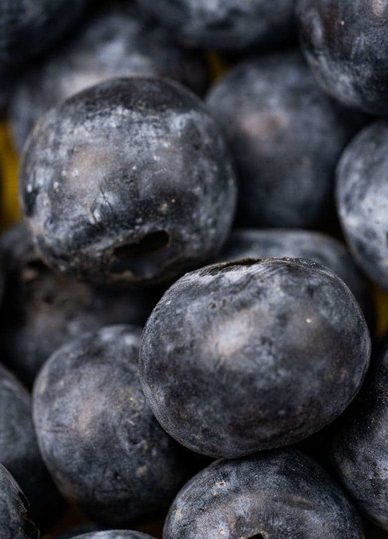 Arándanos frescos ricos en antioxidantes
