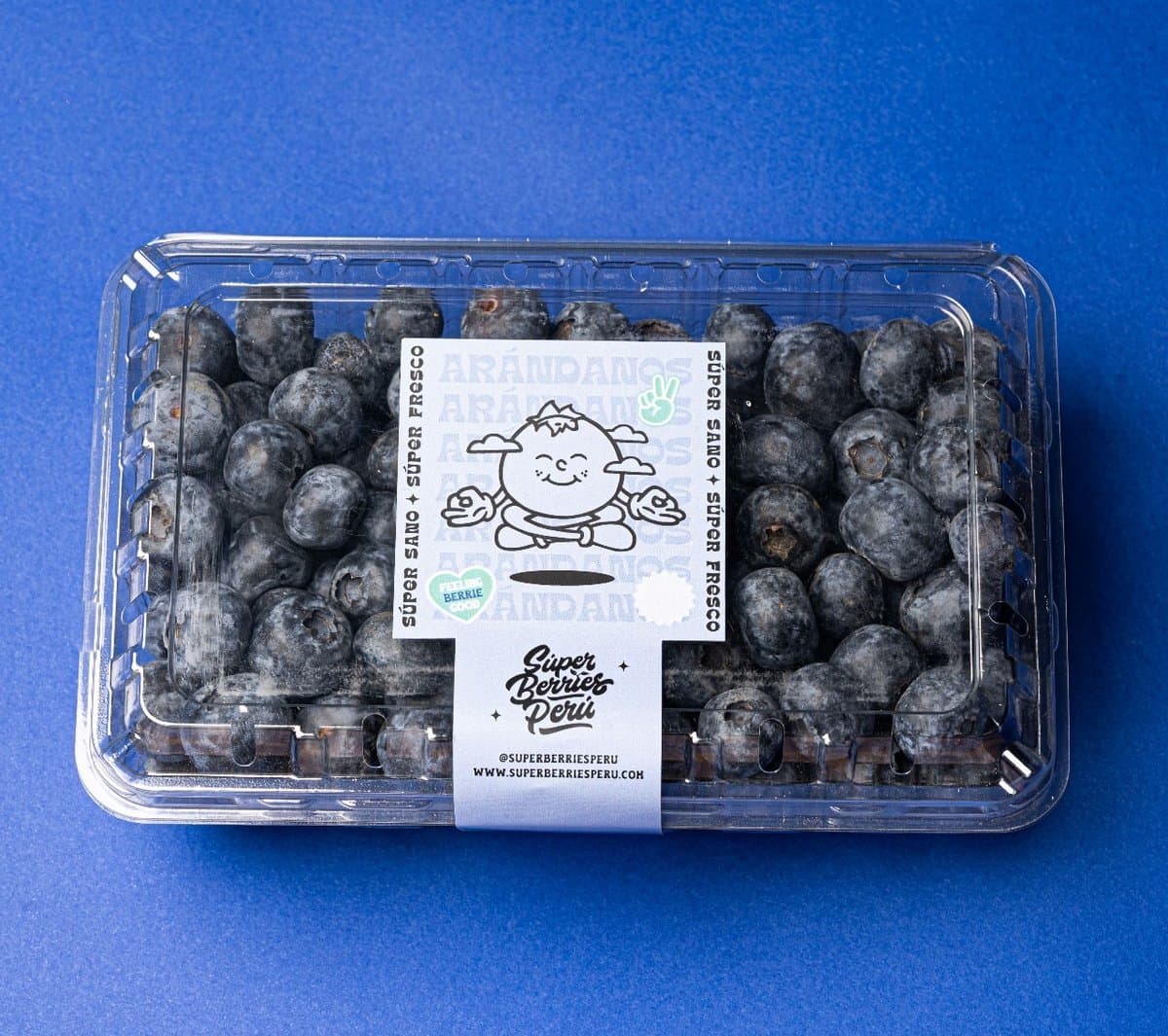 Arandano Fresco 1/2 kg